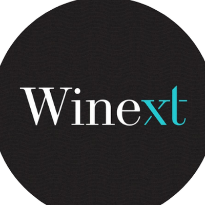 Logotipo Winext